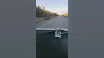 #фанта #напиток #милкис