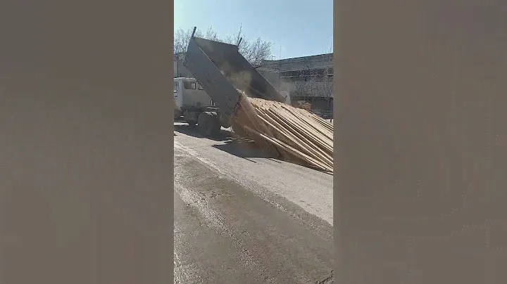 брусок из берёзы! 6 кубов выгрузка самосвалом газ 3307
