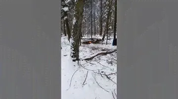 Что если баллон с газом положить в костер