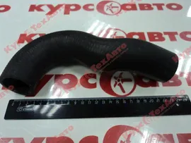 Патрубок радиатора верхний ГАЗ-3308/3309 ММЗ-245
