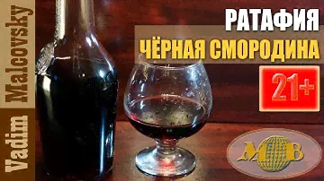 Ратафия из чёрной смородины. Мальковский Вадим